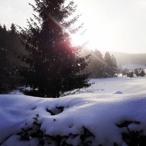 Gasthof Kanzlersgrund