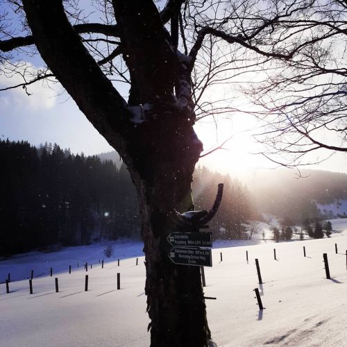 Gasthof Kanzlersgrund