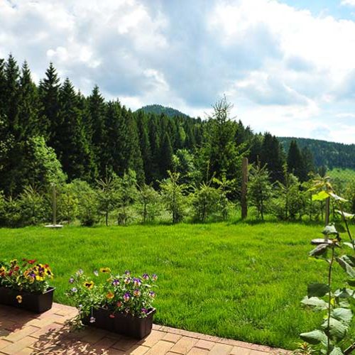 Gasthof Kanzlersgrund